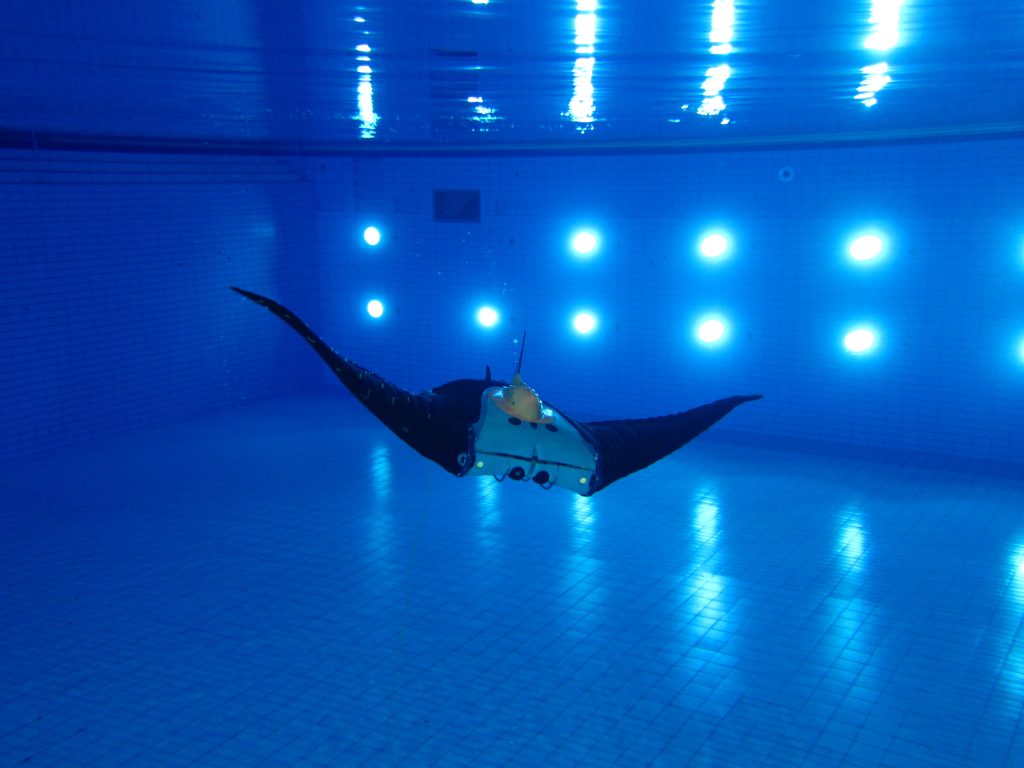 Das Unterwasservehikel in Form eines Mantarochens ist mit einer bionischen Sensorhaut ausgestattet, um versunkene Kriegsgeschosse aufzuspÃ¼ren. (Bild: EvoLogics)